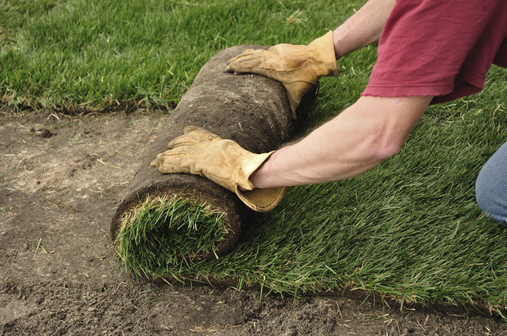 Sodding is a great way to bring your lawn back to life