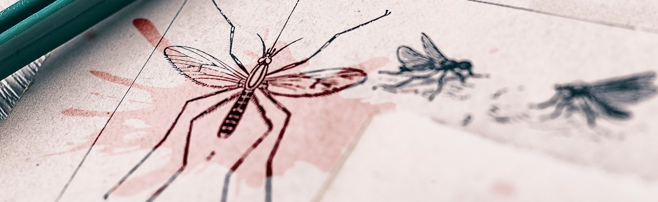 mosquito pictures